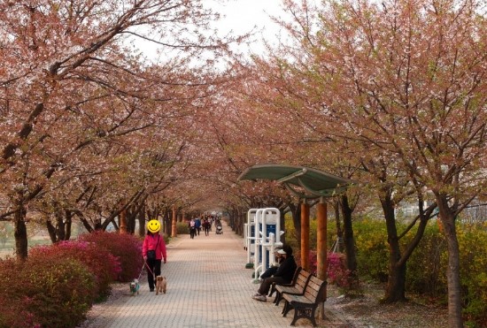 [명동치과]서울 둘레길 코스, 어떤 길들이 있는지 알아봤어요 관련 이미지 6