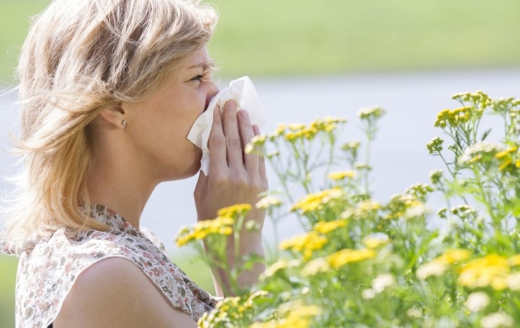 꽃가루 알레르기 증상, 예방할 수 있는 방법은? 관련 이미지 2