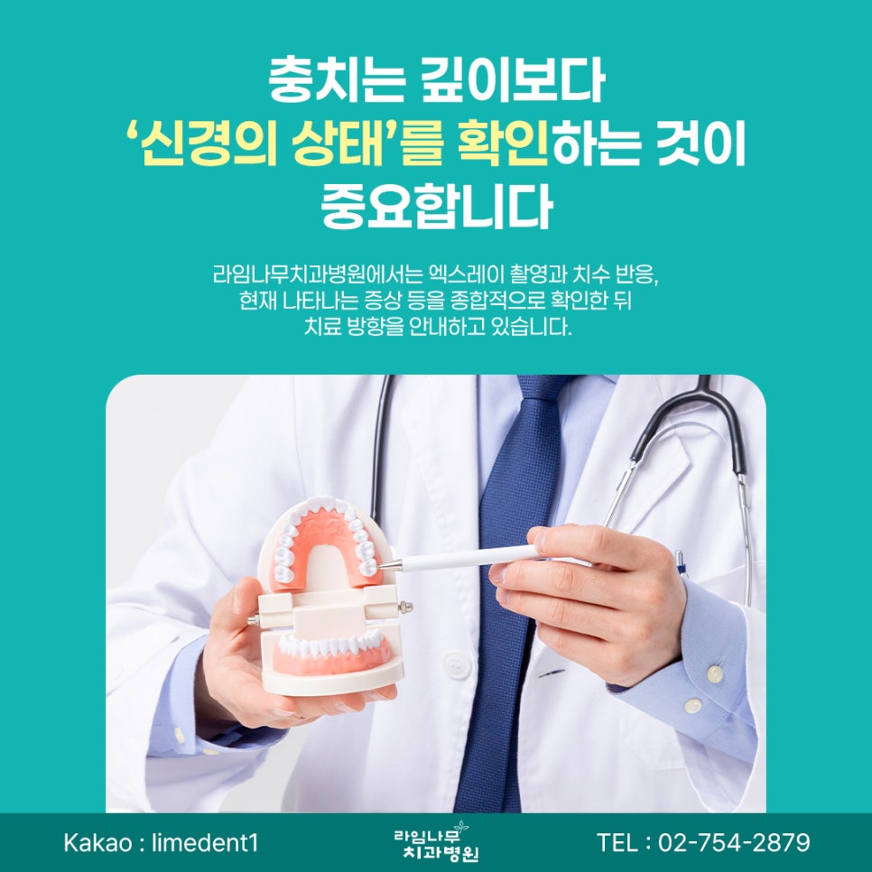명동 치과 충치는 어느 단계부터 신경치료가 필요할까요? 관련 이미지 7