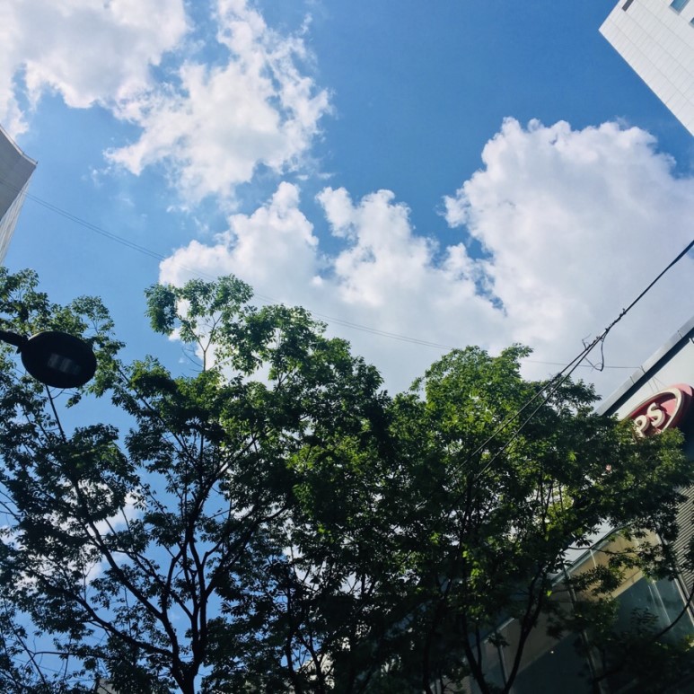 [명동치과] 라임나무와 알아보는 치석에 좋은 음식!!! ^^ 관련 이미지 8