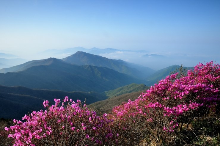 지리산 정규 탐방로, 5월 1일부터 개방 관련 이미지 1