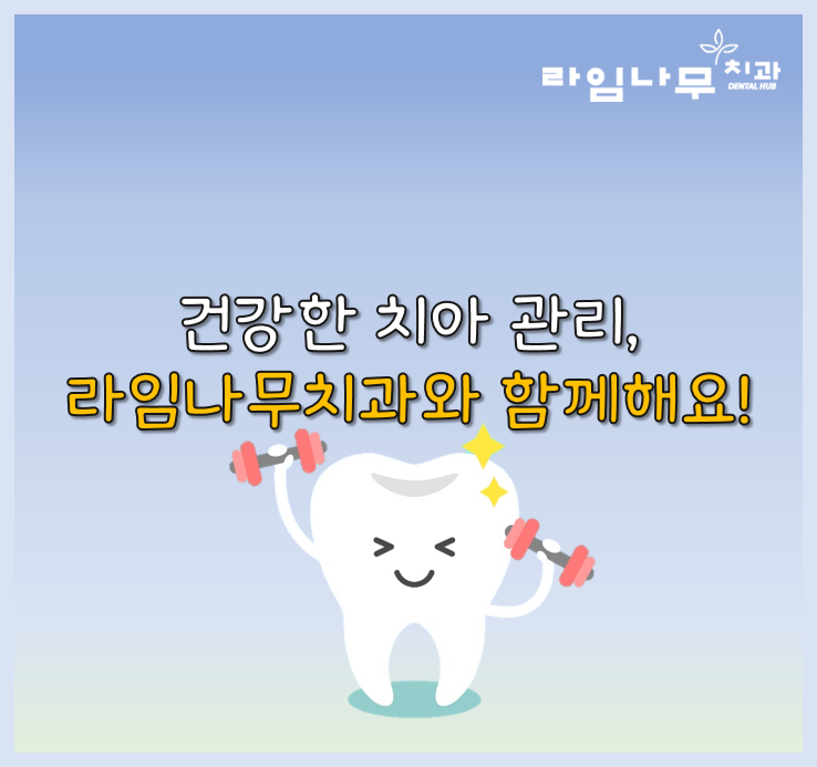 청소년, 성인 시기의 치아 관리법 중요한것은? 명동치과 라임나무 관련 이미지 6