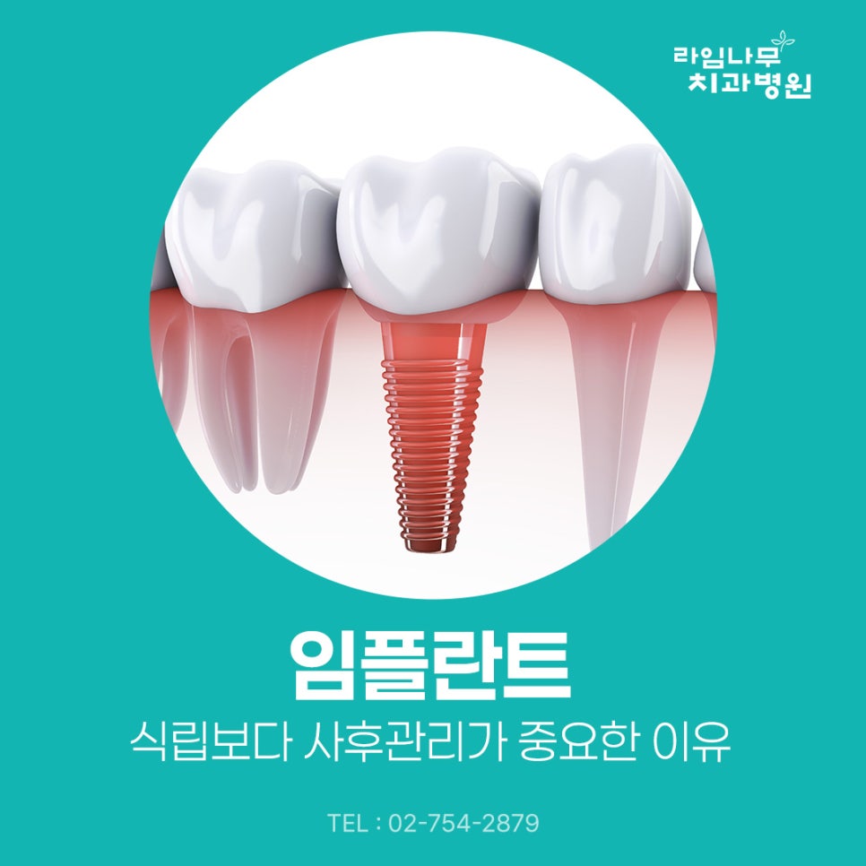 Why Aftercare Is More Important Than Implant Placement for Myeongdong Dental Implants image 2