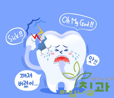 [라임나무치과] 휴가철 치아 손상 사고 응급조치 방법! 관련 이미지 3