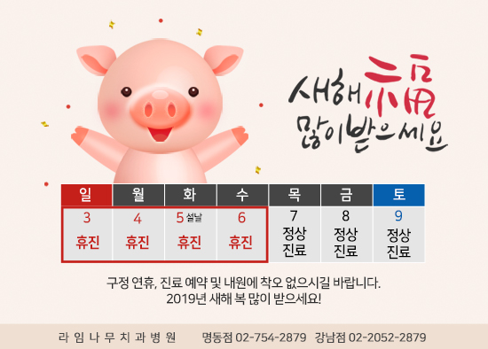 라임나무치과 2019설날진료안내 / 새해복많이 받으세요! 관련 이미지 7