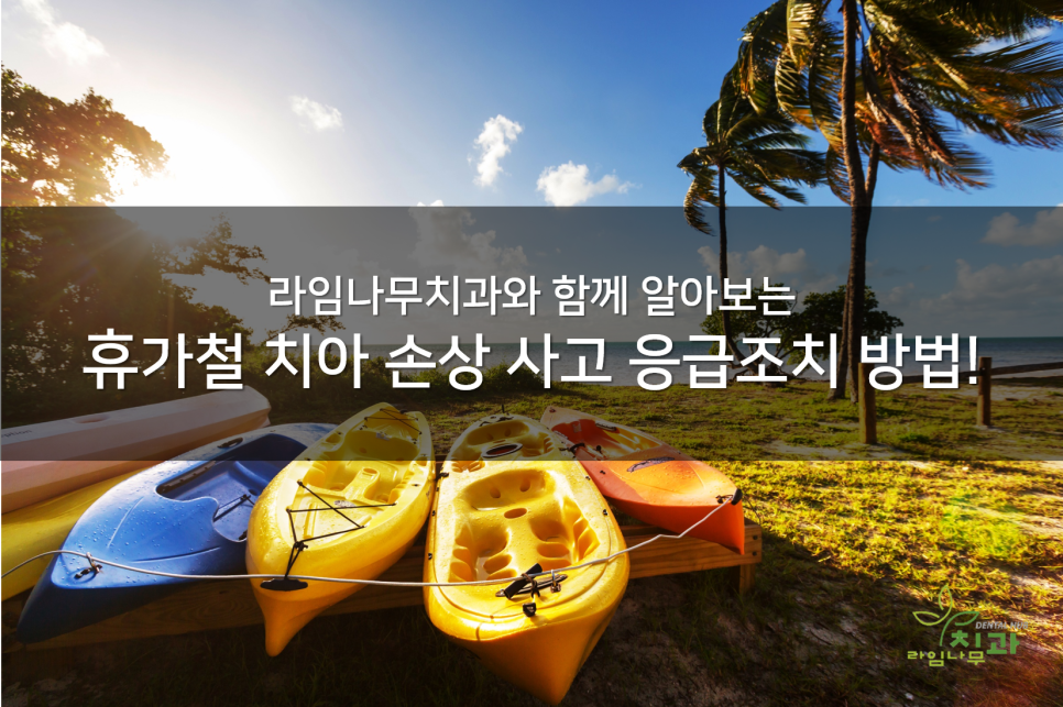 [라임나무치과] 휴가철 치아 손상 사고 응급조치 방법! 관련 이미지 1