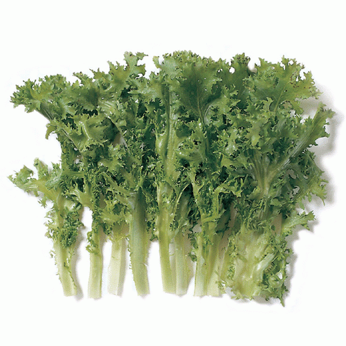 비만도 계산하기, 본격적 여름 맞이 다이어트 준비하세요 관련 이미지 10