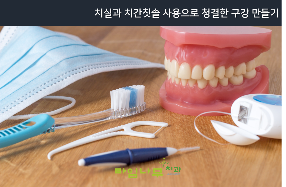 잇몸 부었을때 대처법 알아보기! 명동치과 라임나무치과 관련 이미지 2