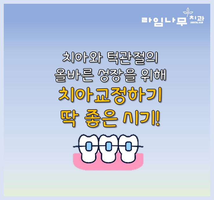 청소년, 성인 시기의 치아 관리법 중요한것은? 명동치과 라임나무 관련 이미지 3