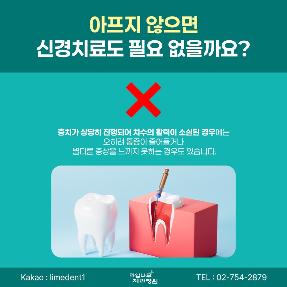 명동 치과 충치는 어느 단계부터 신경치료가 필요할까요? 관련 이미지 6