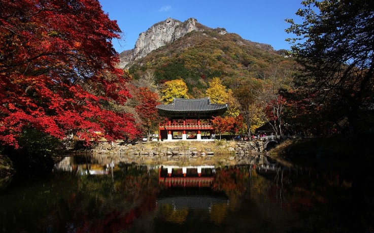[명동치과]단풍이 드는 이유, 단풍 명소와 함께 알아봤어요 관련 이미지 3