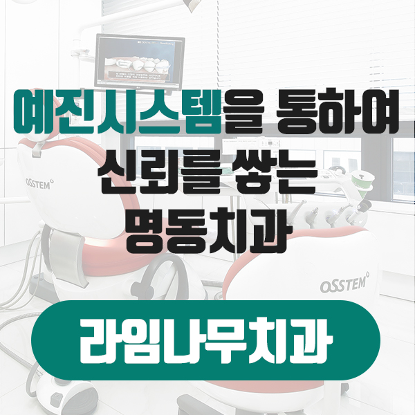예진시스템을 통하여 신뢰를 쌓는 명동치과, 라임나무 관련 이미지 5