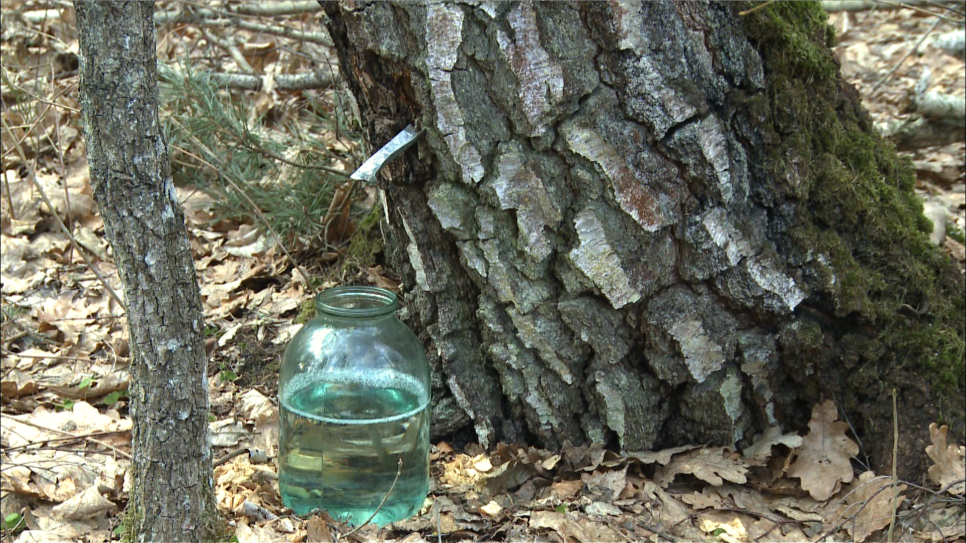 개구리가 깨어나는 경칩, 재미있는 풍속을 알아봐요 관련 이미지 3