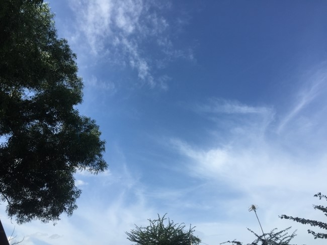 2015 라임나무치과병원 캄보디아 의료봉사 후기를 공개합니다 관련 이미지 17