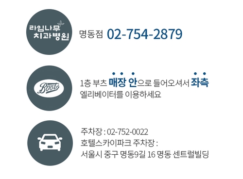 (6월진료일정) 현충일 및 공휴일진료 라임나무치과 일정안내 관련 이미지 2