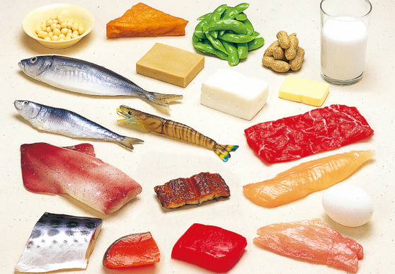 단백질 섭취 가이드, 하루에 체중 0.1%가 좋다고 합니다 관련 이미지 1