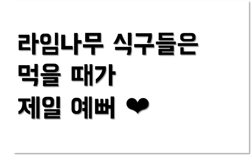 명동 라임나무치과 초복 고봉삼계탕 회식 후기 :) 관련 이미지 8