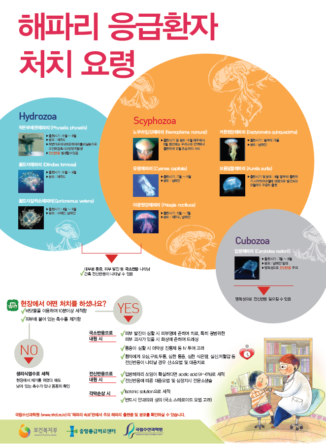 [명동치과 라임나무]해파리에 쏘였을 때 응급처치법을 알아보았습니다 관련 이미지 6