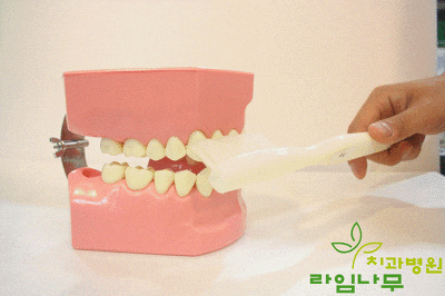 다양한 칫솔질 방법! 상황에 맞는 나만의 칫솔질을 찾자! 관련 이미지 5