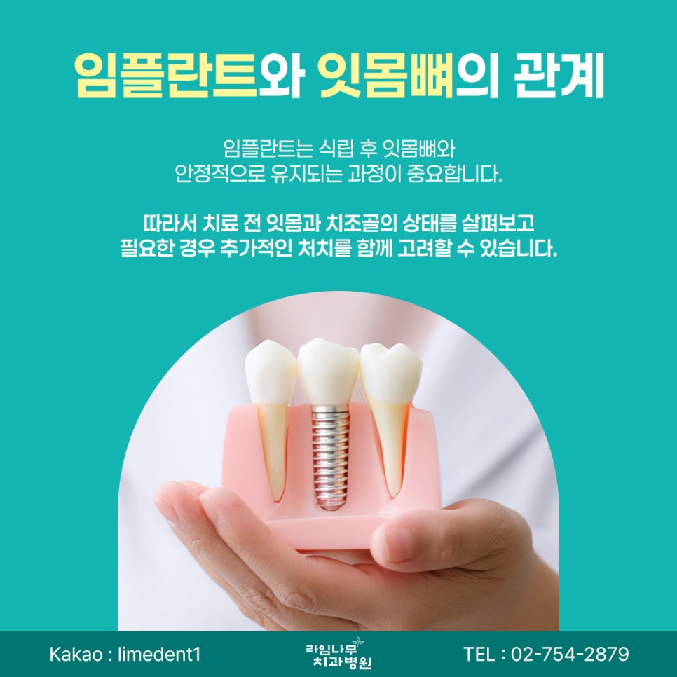 상실한 치아, 임플란트 시술로 고민 해결해 보세요 관련 이미지 5
