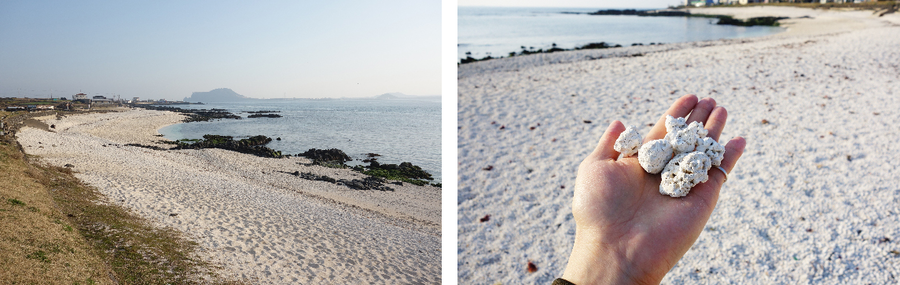 [명동치과 라임나무치과] 다가온 휴가철, 어디로 갈까? 휴가철 구강관리! 관련 이미지 9