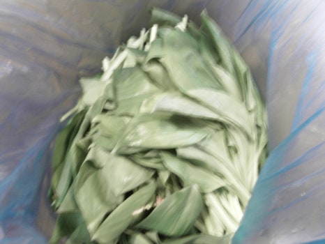 라임나무치과 환자분들이 선물을 주셨어요! 관련 이미지 4