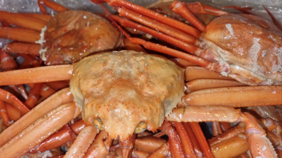 라임나무 가족들의 홍게라면 파티! 관련 이미지 2