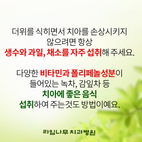 뜨거운 음식 삼계탕, 치아건강에는 좋지 않다? 이열치열 보양식 제대로 알아보자!!!! 관련 이미지 7