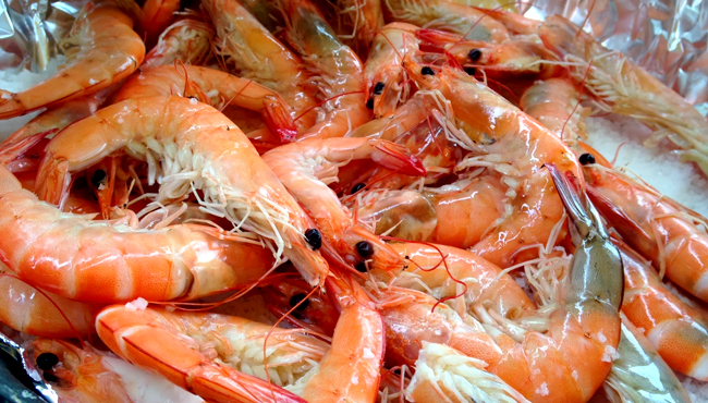 [명동치과]대하의 효능, 항암효과는 물론 항산화 효과까지 있습니다 관련 이미지 2