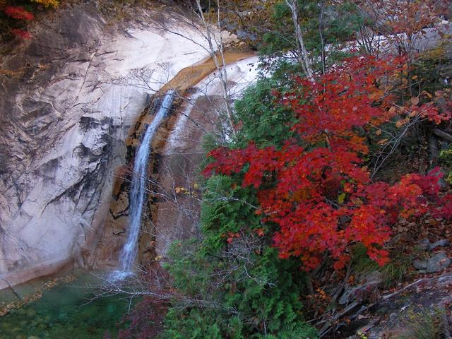 [명동치과 라임나무]단풍 물드는 설악산, 올해 단풍정보를 챙겨드립니다 관련 이미지 2
