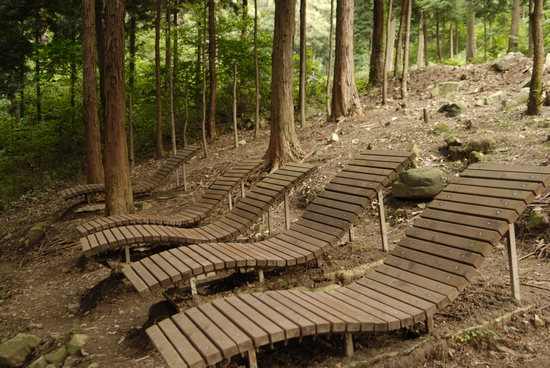 [명동치과 라임나무]산림욕의 효과, 신선한 공기 마시며 건강해질 수 있어 관련 이미지 3