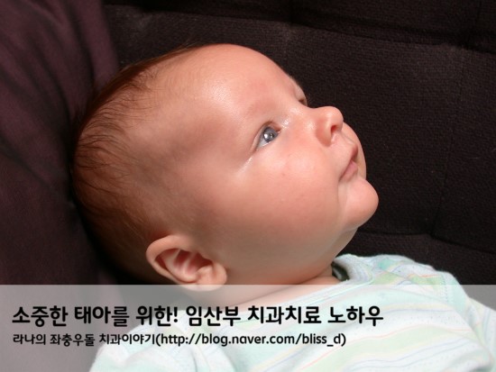 소중한 태아를 위한! 임산부 치과치료 노하우 관련 이미지 1