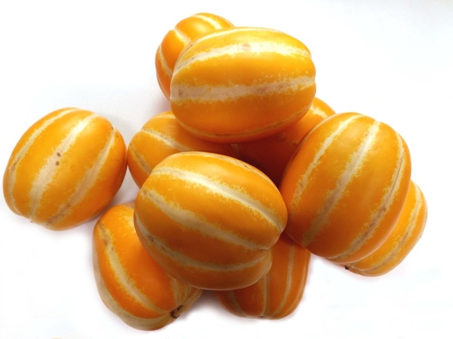 라임나무치과와 함께하는 여름철 충치 관리! 여름 제철 과일과 함께 알아봐요~ 관련 이미지 5