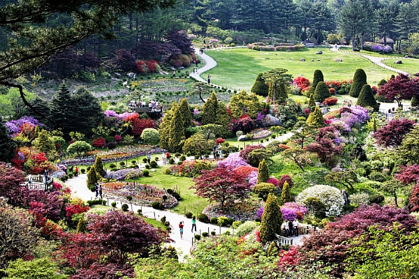 5월 축제정보, 미리 알아보고 놀러가세요 관련 이미지 1