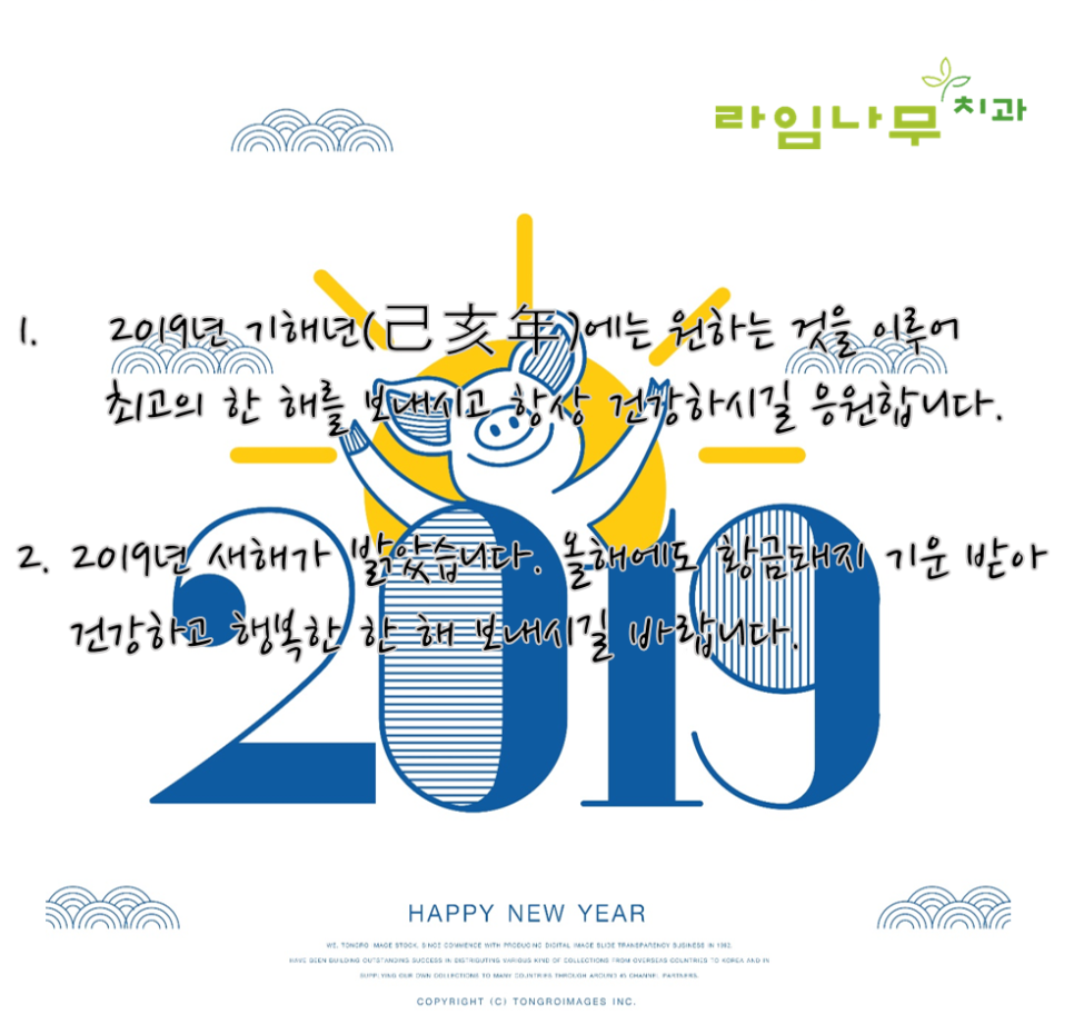 기해년 새해 복 많이 받으세요! 2019년 새해인사말 관련 이미지 2