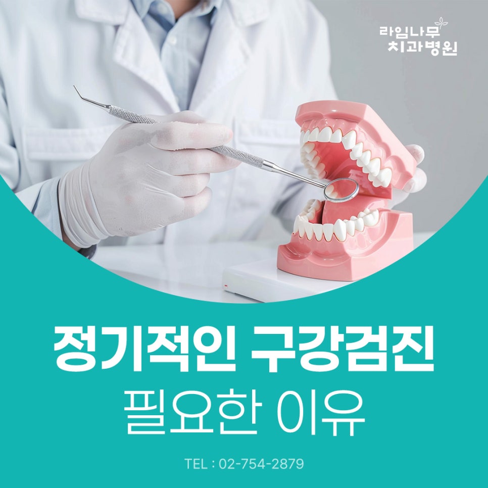 Myeongdong Dental Clinic: Why Regular Oral Checkups Are Necessary Even When Your Teeth Don't Hurt image 2