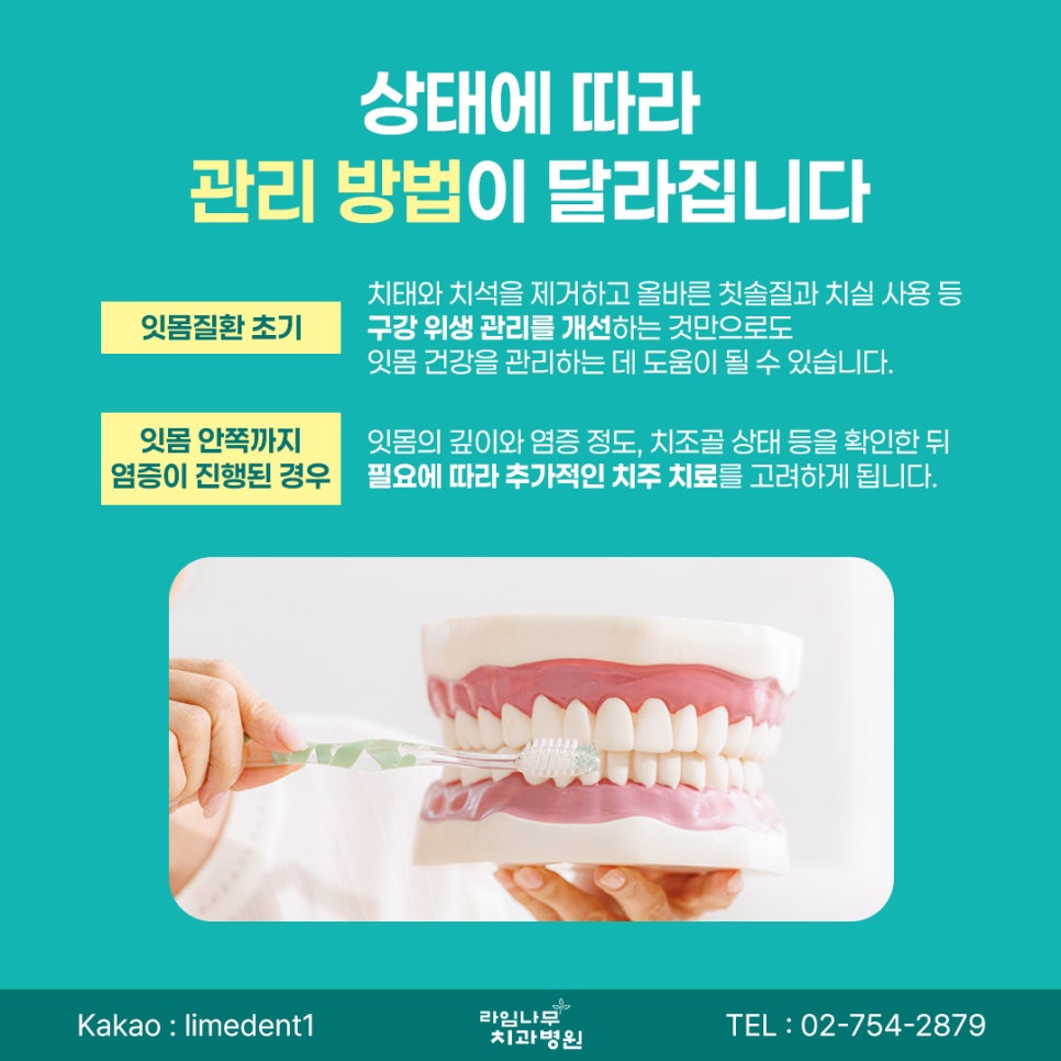 Myeongdong Dental Clinic: Bleeding When Brushing May Be a Sign of Gum Disease image 6