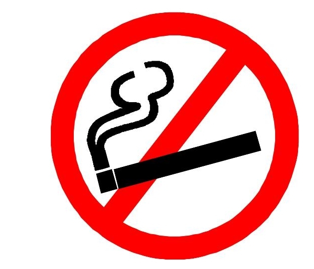 [명동치과 라임나무]비타민C 과다복용, 권장량 맞춰 복용하는 것이 좋다고 합니다 관련 이미지 5