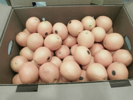 라임나무치과 환자분들이 선물을 주셨어요! 관련 이미지 3