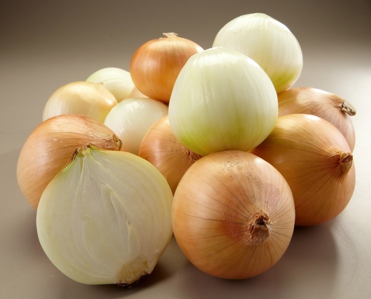 [명동치과]양파의 효능, 면역력 증강에 좋다고 합니다 관련 이미지 1