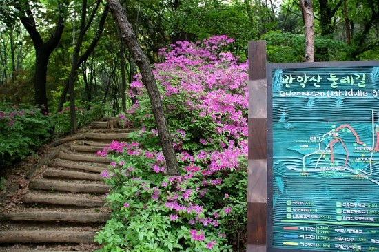 [명동치과]서울 둘레길 코스, 어떤 길들이 있는지 알아봤어요 관련 이미지 5