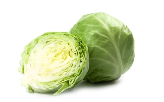 장염에 좋은 음식, 어떤 것들이 있는지 알아볼까요 관련 이미지 2