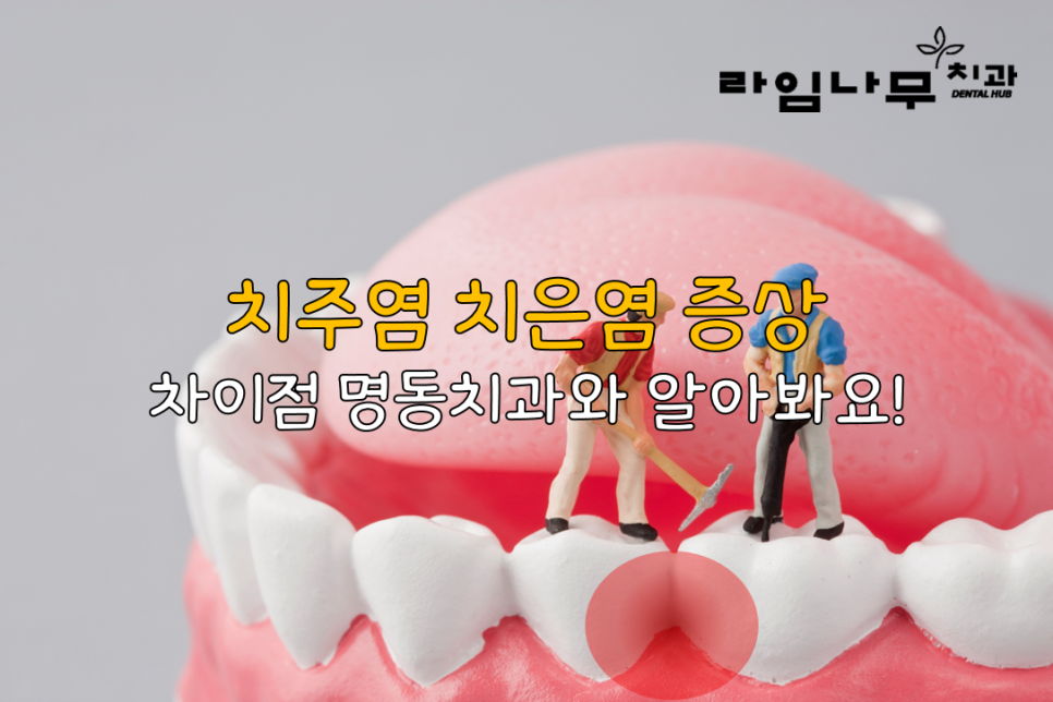 치주염 치은염 증상? 차이점 명동치과와 알아봐요! 관련 이미지 1