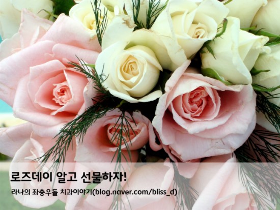 로즈데이 알고 선물하자! 빨간장미,하얀장미,핑크장미,노랑장미,주황장미,보라장미,검은장미 의미 와 장미 개수 의미 관련 이미지 1