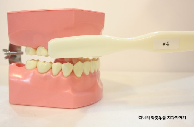 을지로치과 라임나무에서 치과정기검진의 중요성을 알려드립니다. ^^ 관련 이미지 2