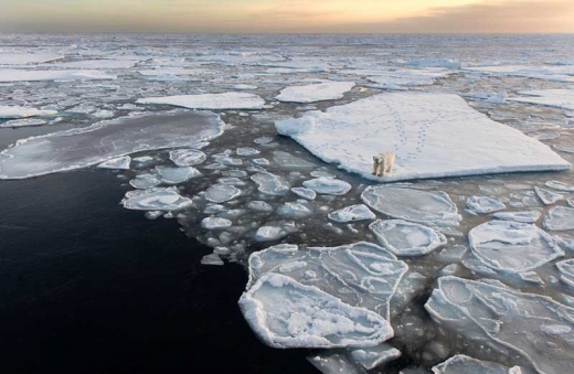 [명동치과]폴라 보텍스, 한파를 몰고 온 원인이라고 합니다 관련 이미지 4