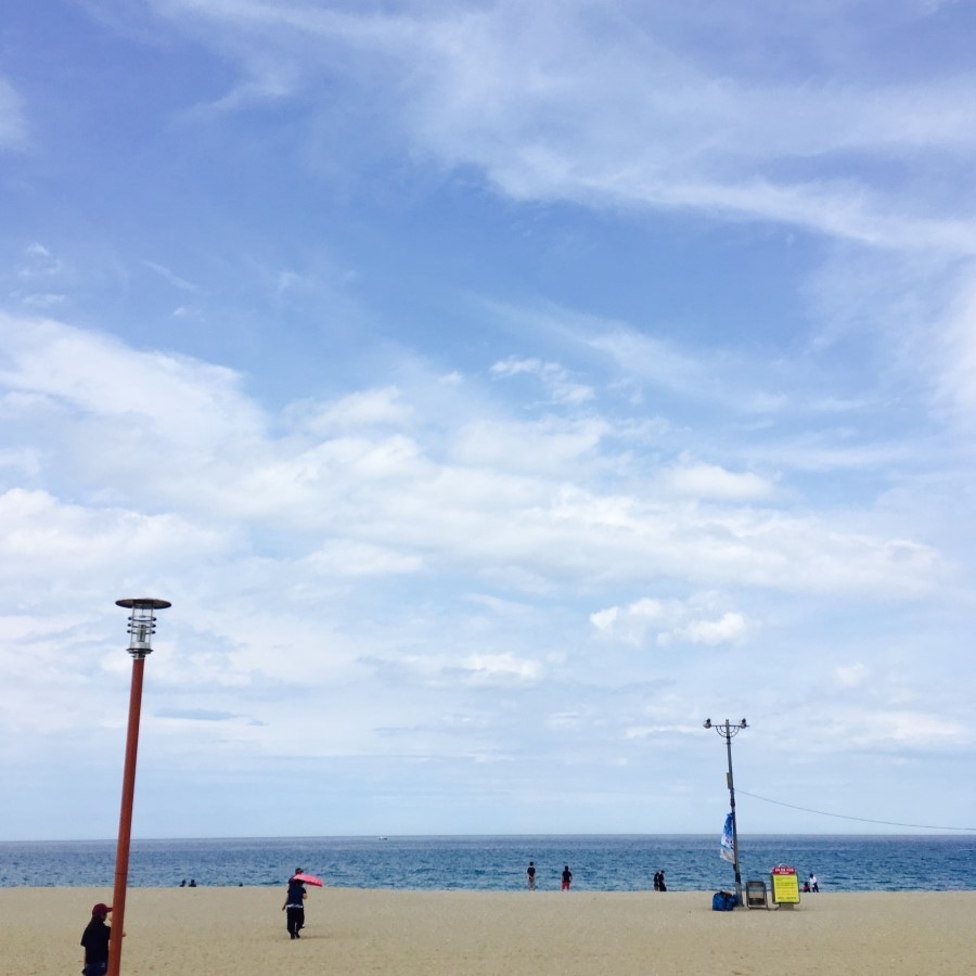 [명동치과 라임나무치과] 다가온 휴가철, 어디로 갈까? 휴가철 구강관리! 관련 이미지 2