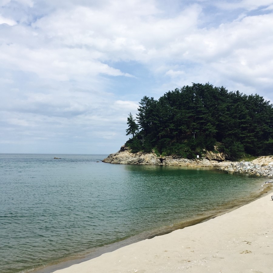 [명동치과 라임나무치과] 다가온 휴가철, 어디로 갈까? 휴가철 구강관리! 관련 이미지 3