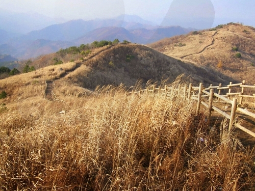 [명동치과]10월 축제 정보, 다양한 축제 알아보고 결정하세요 관련 이미지 1