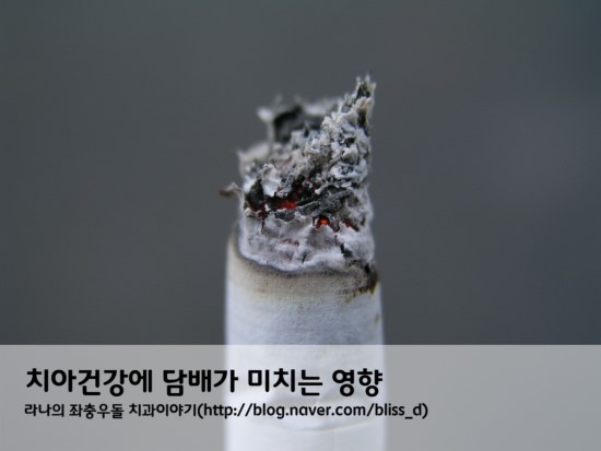 치아건강에 담배가 미치는 영향 관련 이미지 1